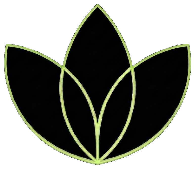 Black Lotus Analytics logo